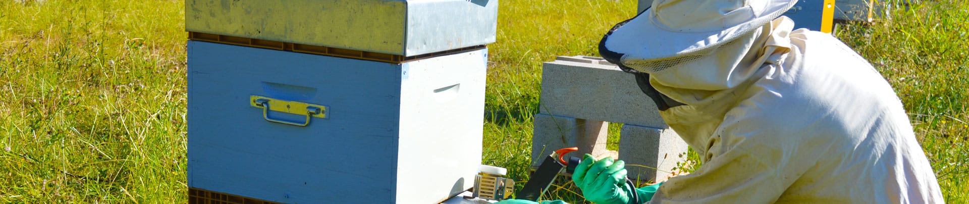Work - Colorado Beekeepers Association