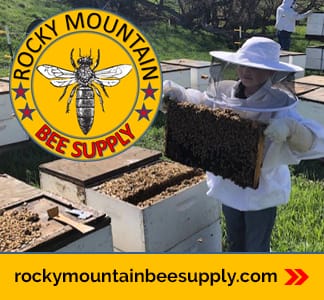 Beginning Beekeeper's Mentorship Bundle, New Beekeepers Lessons